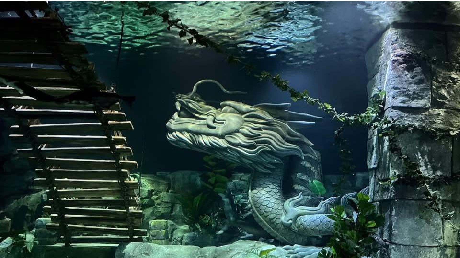 Lotte World Aquarium Hanoi | Lotte Mall West Lake Hanoi