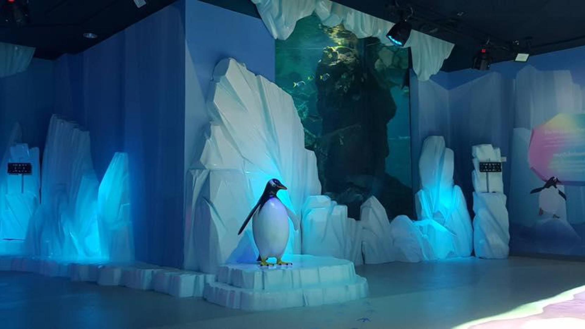 Sea Life Bangkok Ocean World | Siam Paragon