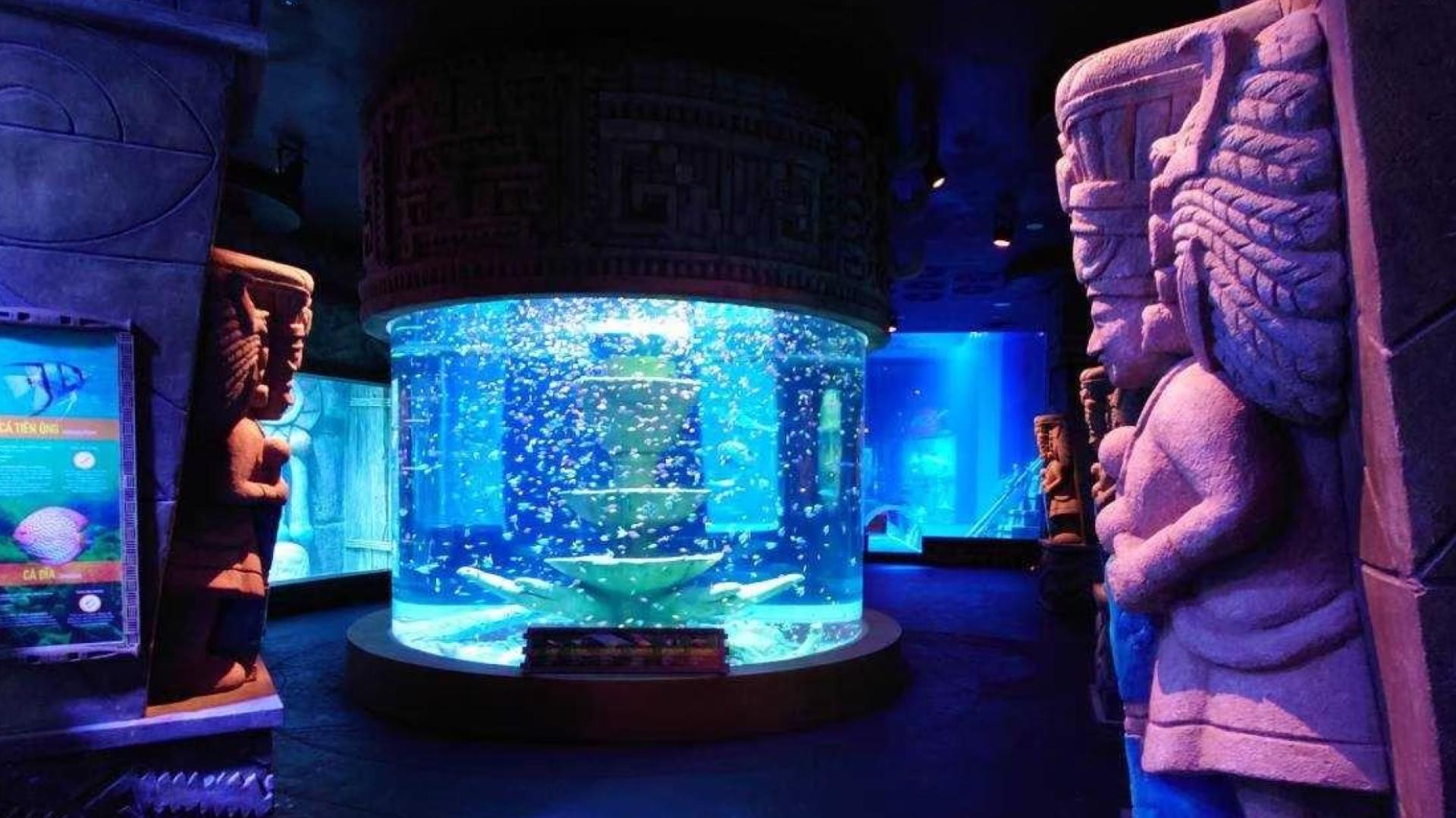 The Seashell Aquarium | VinWonder Phu Quoc