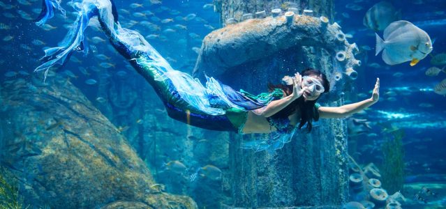 VinWonders Nha Trang Aquarium